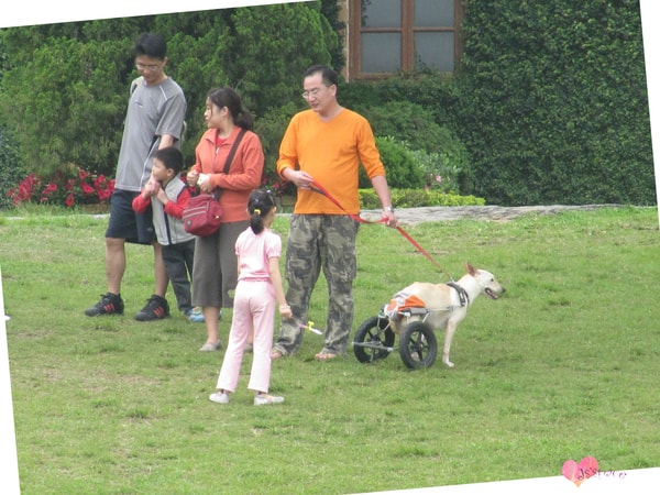 20251027_-5 20251027_-5