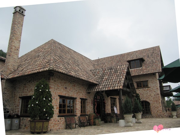 20251027_-8 20251027_-8