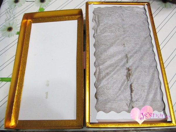 20251027_-6 20251027_-6