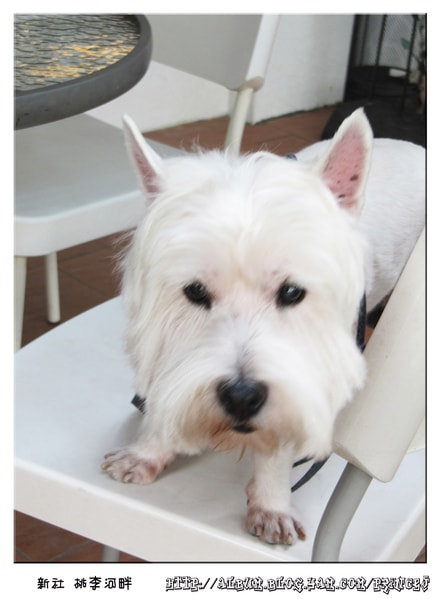 20251027_-12 20251027_-12