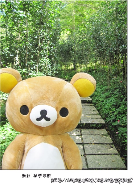 20251027_-13 20251027_-13