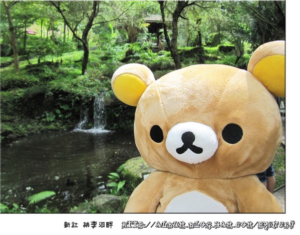 20251027_-15 20251027_-15