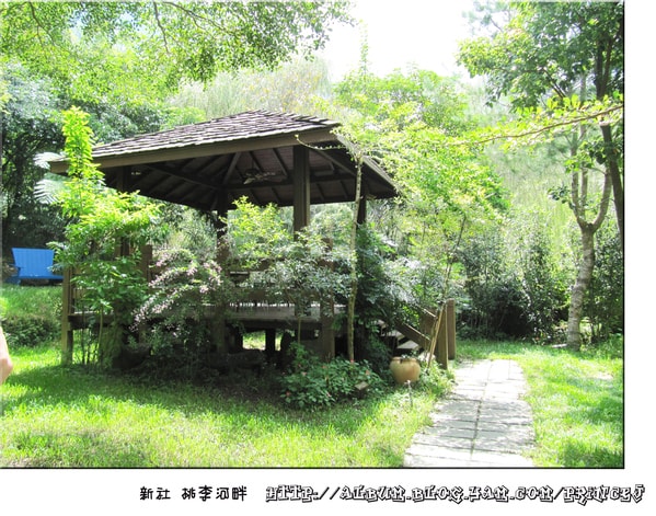 20251027_-16 20251027_-16