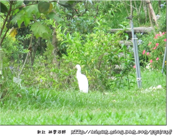 20251027_-17 20251027_-17