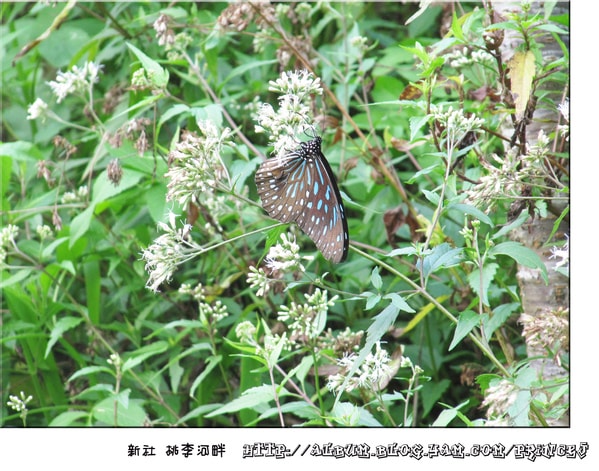 20251027_-18 20251027_-18