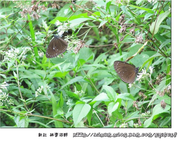 20251027_-19 20251027_-19