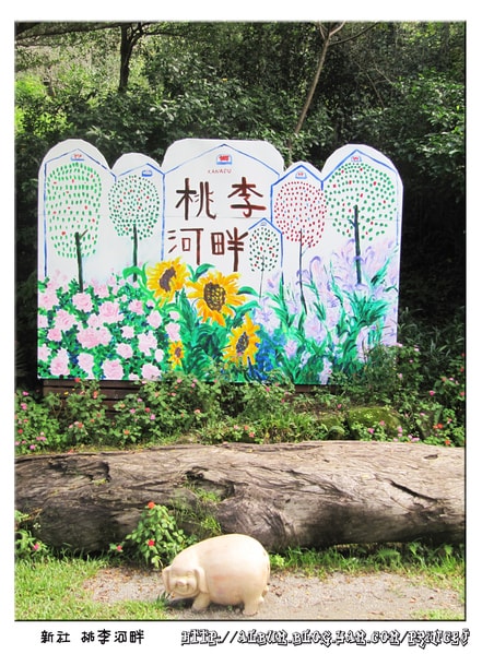 20251027_-20 20251027_-20