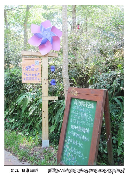 20251027_-25 20251027_-25