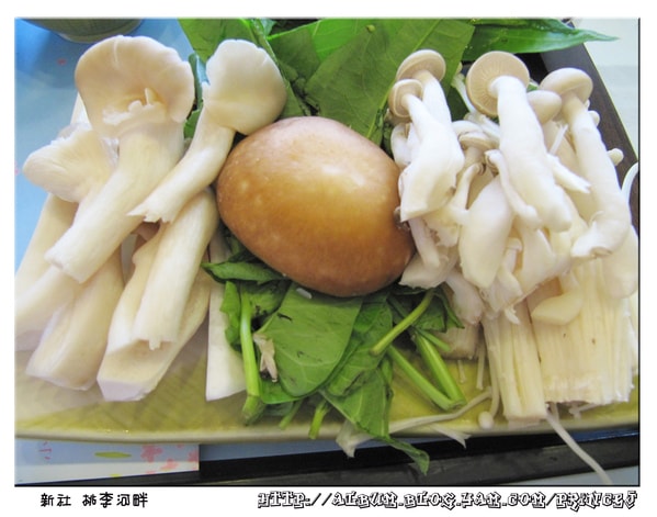 20251027_-8 20251027_-8