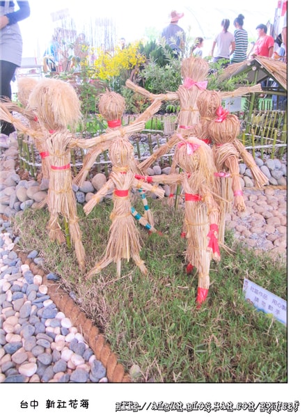 20251027_-10 20251027_-10