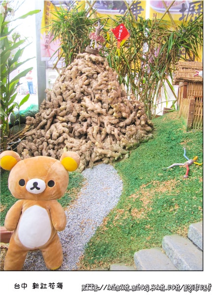 20251027_-11 20251027_-11