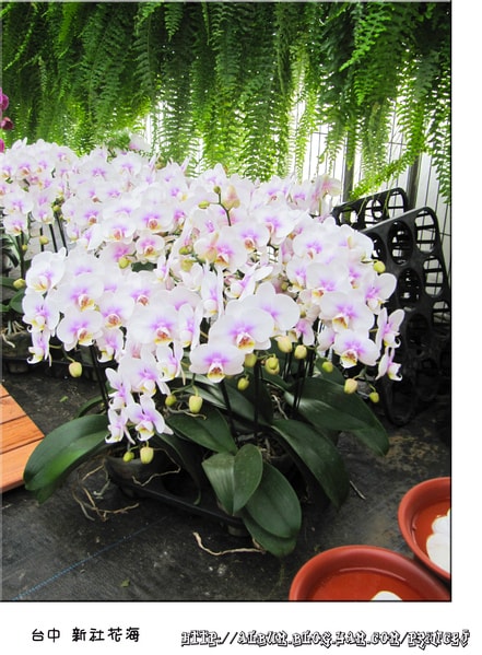 20251027_-13 20251027_-13