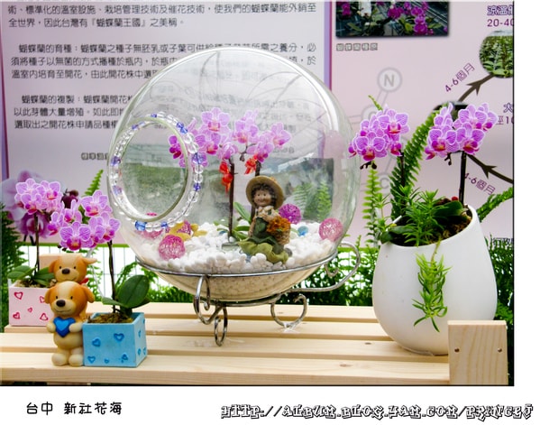 20251027_-14 20251027_-14