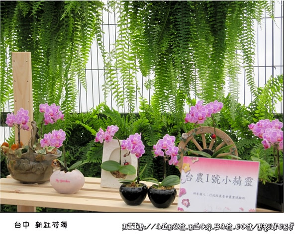 20251027_-15 20251027_-15