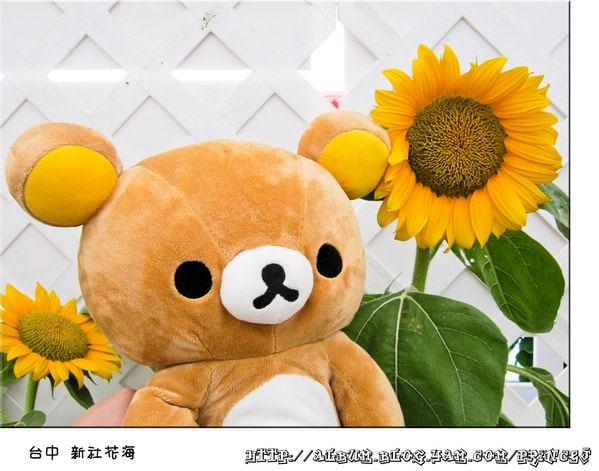 20251027_-17 20251027_-17