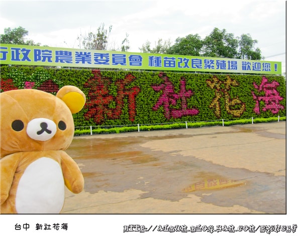 20251027_-19 20251027_-19