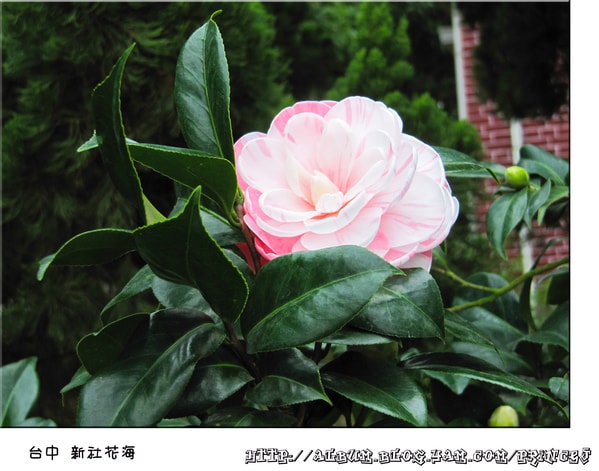 20251027_-23 20251027_-23