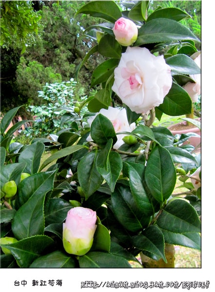 20251027_-24 20251027_-24