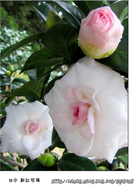 20251027_-25 20251027_-25