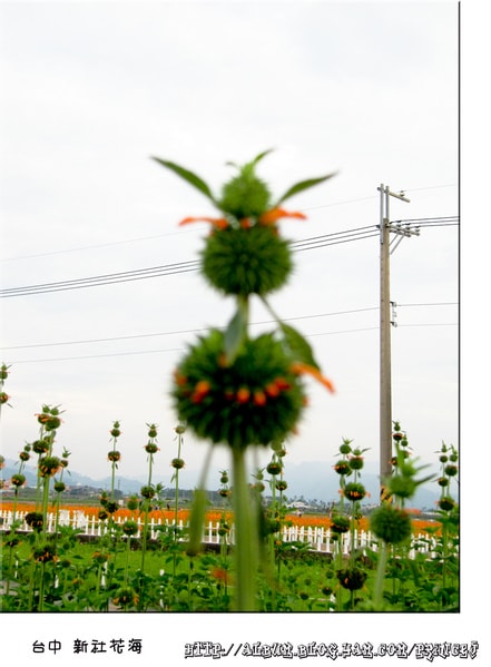 20251027_-26 20251027_-26