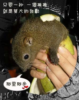 20251027_-28 20251027_-28