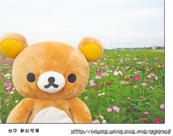 20251027_-5 20251027_-5