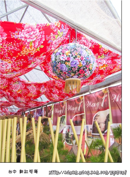 20251027_-8 20251027_-8