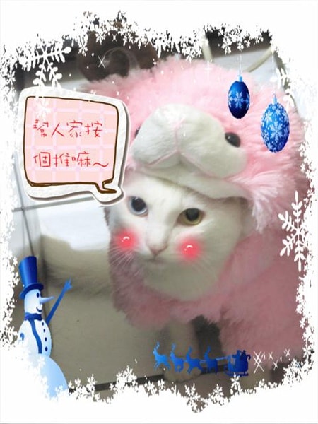 20251027_-39 20251027_-39