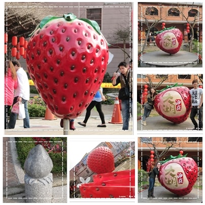 20251027_-81 20251027_-81