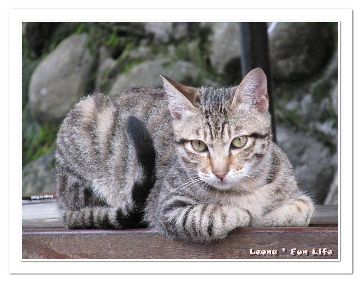 20251027_-82 20251027_-82