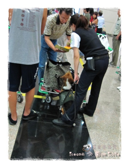 20251027_-167 20251027_-167