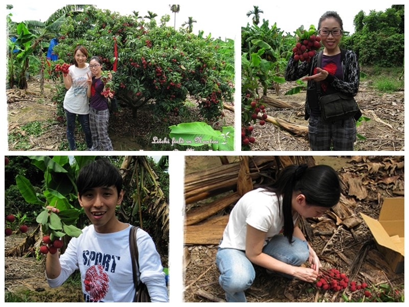 20251027_-156 20251027_-156