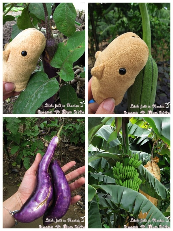 20251027_-157 20251027_-157