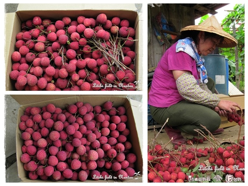 20251027_-158 20251027_-158