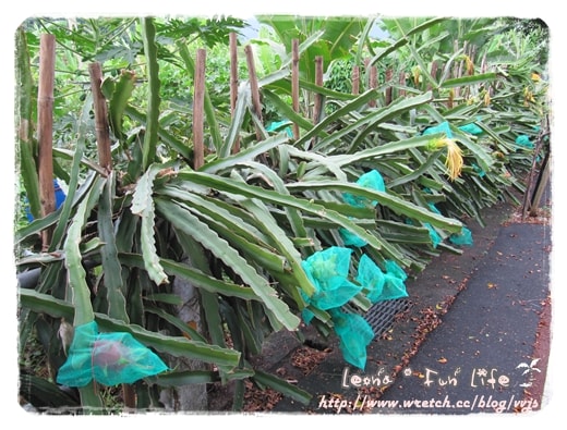 20251027_-71 20251027_-71