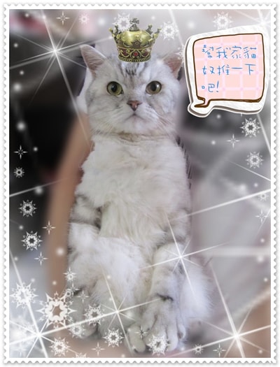 20251027_-17 20251027_-17