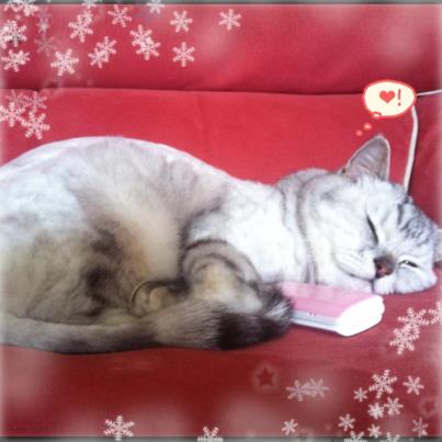 20251027_-5 20251027_-5