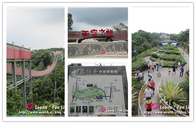 20251027_-142 20251027_-142