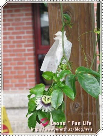 20251027_-147 20251027_-147