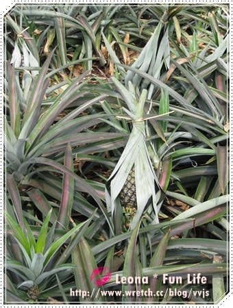 20251027_-148 20251027_-148