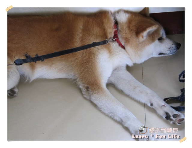 20251027_-42 20251027_-42