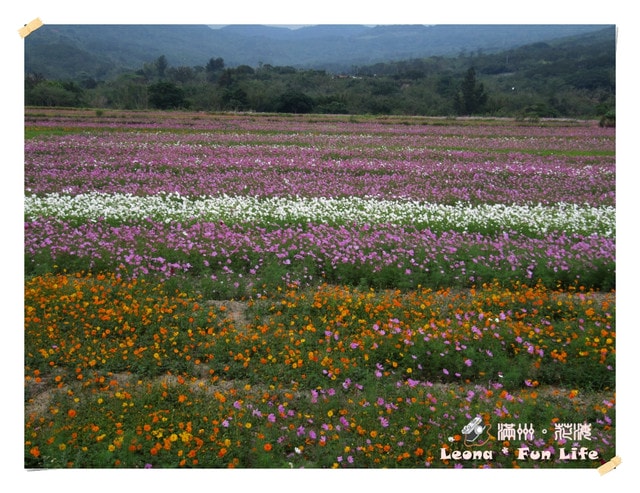 20251027_-69 20251027_-69