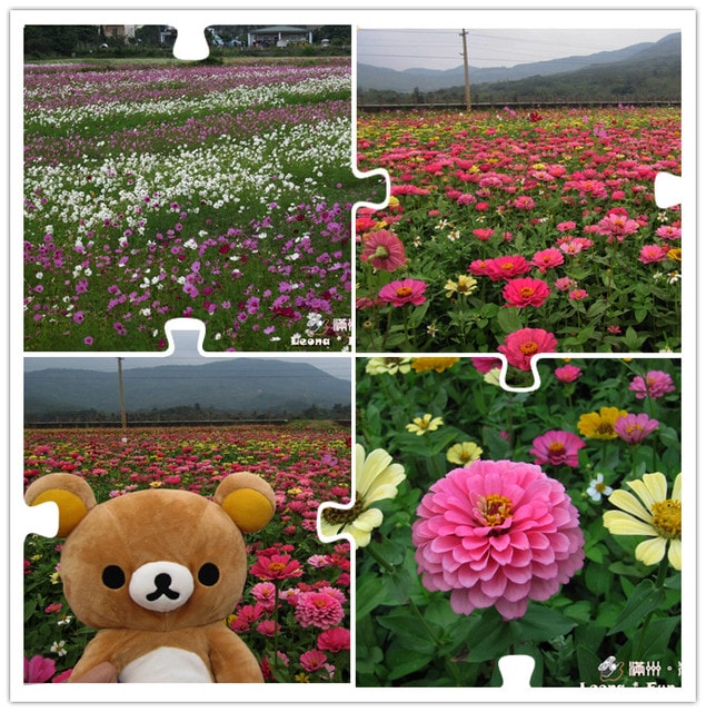 20251027_-71 20251027_-71