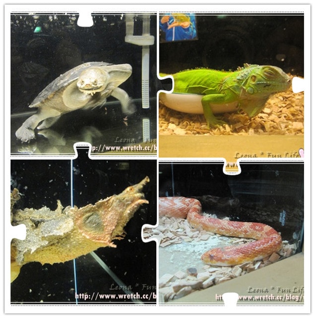 20251027_-100 20251027_-100