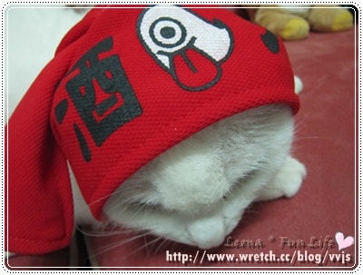 20251027_-118 20251027_-118