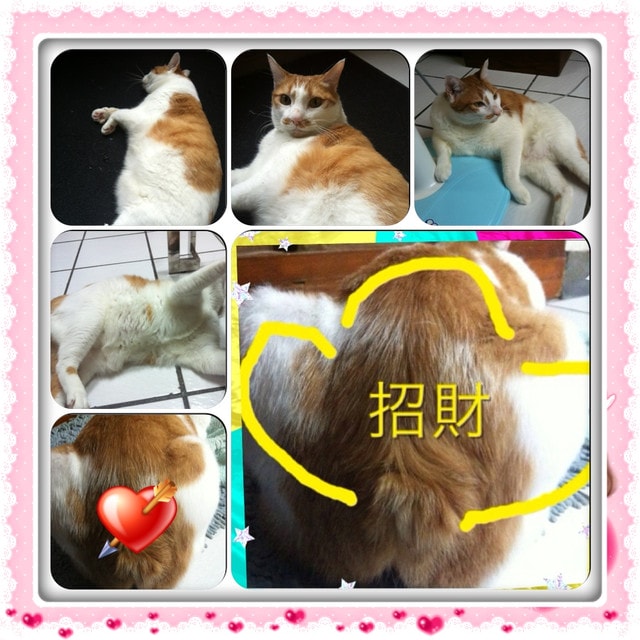 20251027_-119 20251027_-119