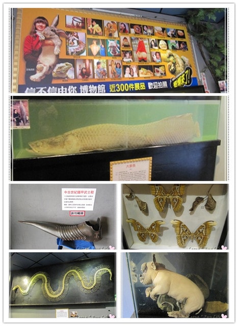 20251027_-99 20251027_-99