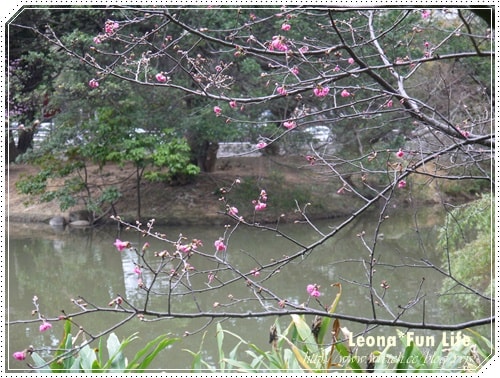 20251027_-21 20251027_-21