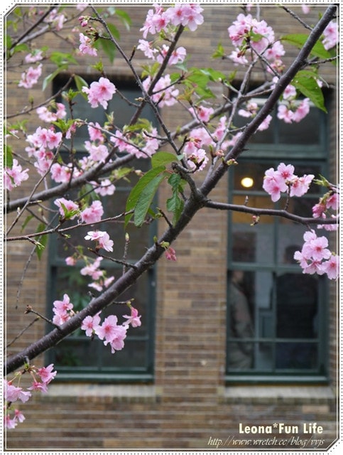 20251027_-22 20251027_-22