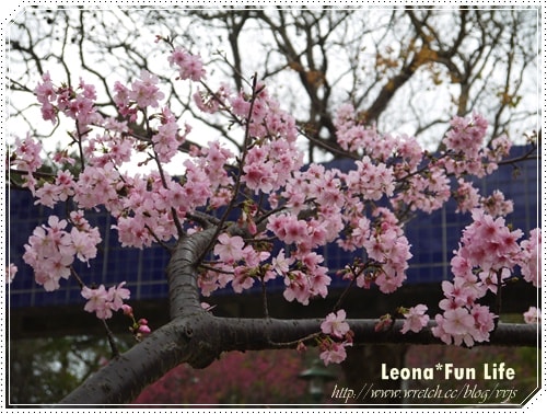 20251027_-25 20251027_-25